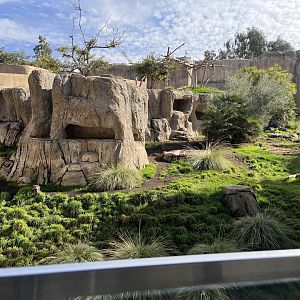 2nd hamadryas baboon exhibit