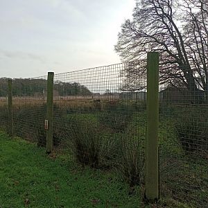 Nile Lechwe and Nyala