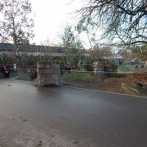 Tasmanian devil exhibit 261124