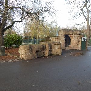 Tasmanian devil exhibit 261124