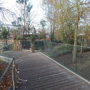 Australian area 261124