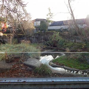 Tasmanian devil exhibit 261124