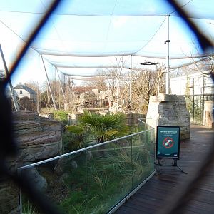 Australian aviary 261124