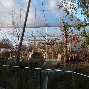 Australian aviary 261124