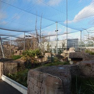 Australian aviary 261124