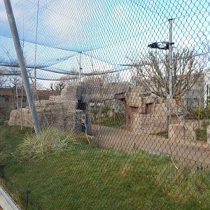 Australian aviary 261124