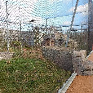 Australian aviary 261124