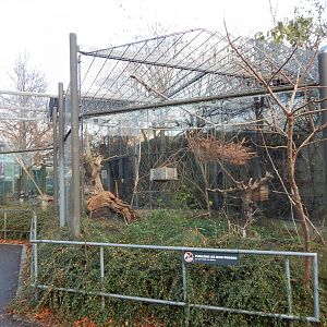 Parrot aviary 261124