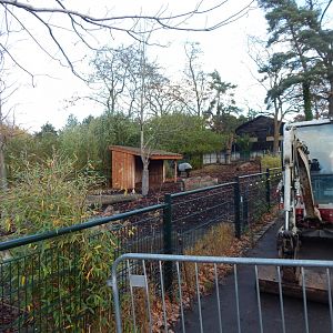 Malayan tapir exhibit 261124