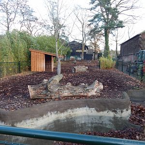 Malayan tapir exhibit 261124