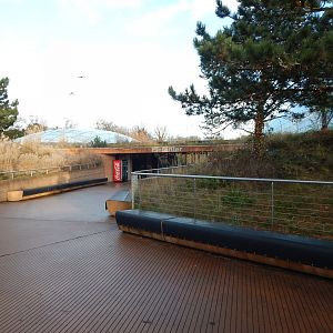 Entrance to Asian elephant exhibit 261124