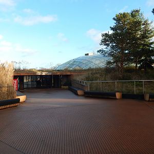 Entrance to Asian elephant exhibit 261124