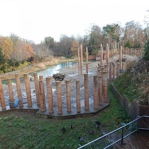 Asian elephant exhibit 261124