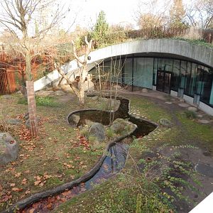 Giant panda exhibit 261124