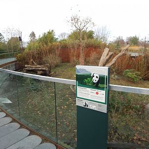 Giant panda exhibit 261124
