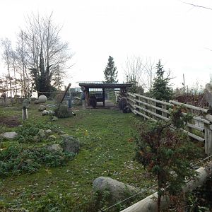 Musk-ox exhibit 261124