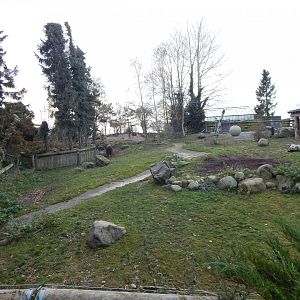 Musk-ox exhibit 261124