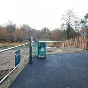 Asian elephant exhibit 261124