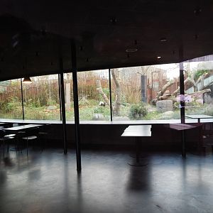 Giant panda exhibit no.2 261124