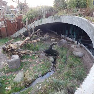 Giant panda exhibit no.2 261124