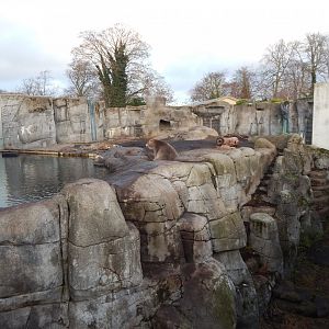 Polar bear exhibit 261124