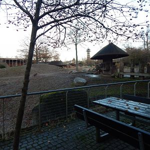 Mixed African Savannah exhibit 261124