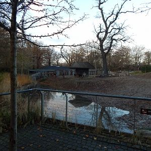 Mixed African Savannah exhibit 261124