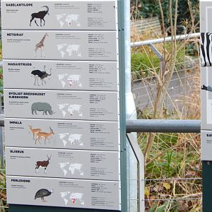 Mixed African Savannah exhibit signage 261124