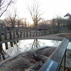 Mixed African Savannah exhibit 261124