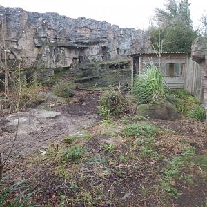 Giant otter exhibit 091224