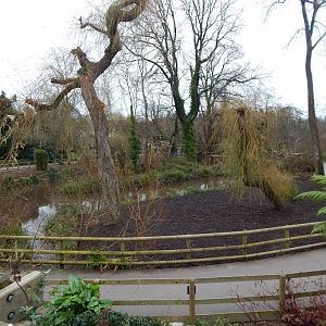 View towards gibbon/Howler monkey islands 111224