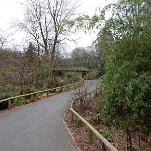 View towards Sumatran tiger exhibit 111224