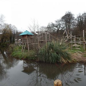 Bornean orang-utan exhibit 111224
