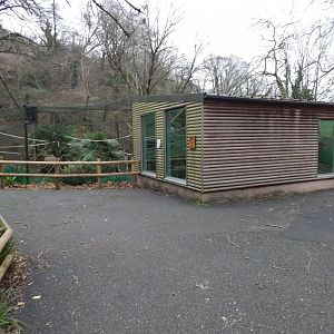 Exhibit for Ring-tailed lemurs and Red-fronted lemurs 111224