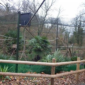 Exhibit for Ring-tailed lemurs and Red-fronted lemurs 111224