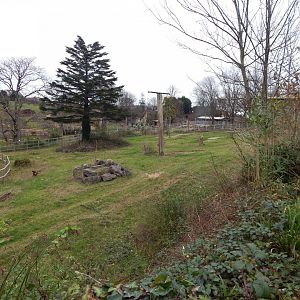 Rothschild's giraffe exhibit 111224