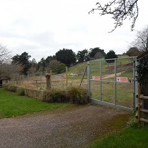 Proposed Hamadryas baboon habitat 111224