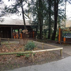 Binturong exhibit 111224