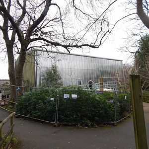 Crocodile Swamp - soon to reopen 111224