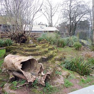 Short-beaked echidna and Long-nosed potoroo exhibit 111224