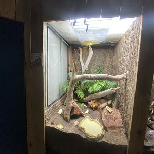 Bugs at Home - Land hermit crab exhibit 111224