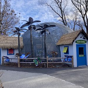 New butterfly walkthrough