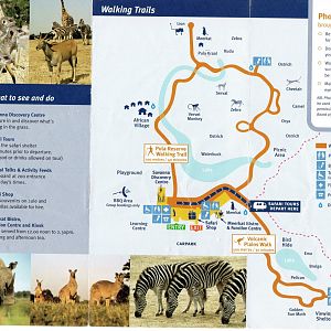 Zoo Map, 2004