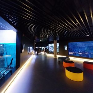 Egzotarium Sosnowiec - General view