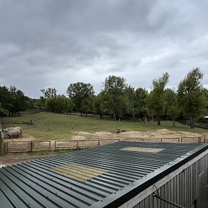 Indian rhinoceros and brow-antlered deer enclosure 29.6.24