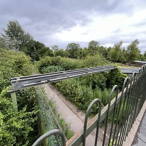 View pf public visitor path and former monorail track 29.6.24