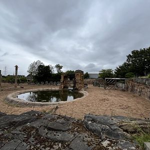 Asian elephant enclosure 29.6.24