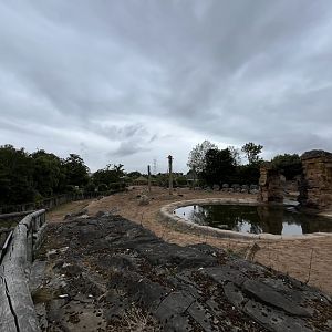 Asian elephant enclosure  29.6.24