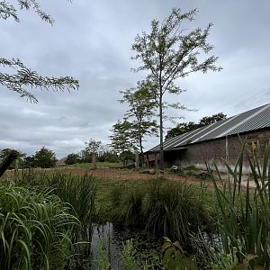 Only view of the Black rhinoceros enclosure 29.6.24