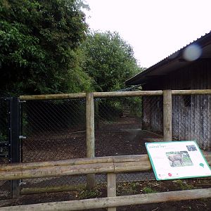 Brazilian tapir and capybara enclosure 29.6.24